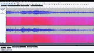 Screenshot of audio waveform