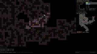 Gameplay of Dungeon Crawl Stone Soup