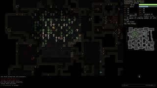 Gameplay of Dungeon Crawl Stone Soup