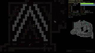 Gameplay of Dungeon Crawl Stone Soup